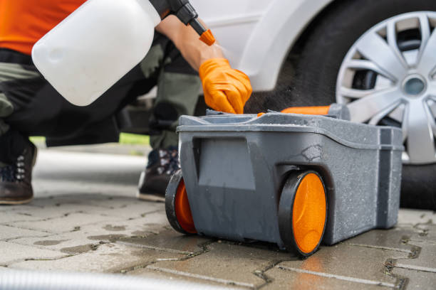 Best Tree Removal  in Biggs, CA